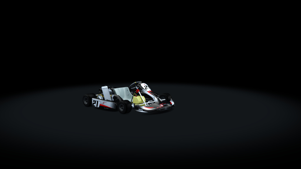 Rotax Max Kart, skin New Folder