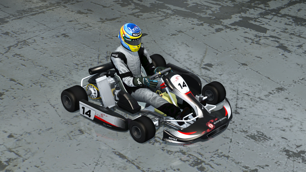 Rotax junior Kart_fix_v4, skin 14_Alpine