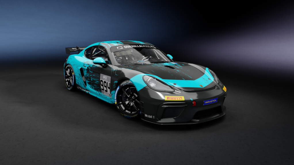 Car Skin